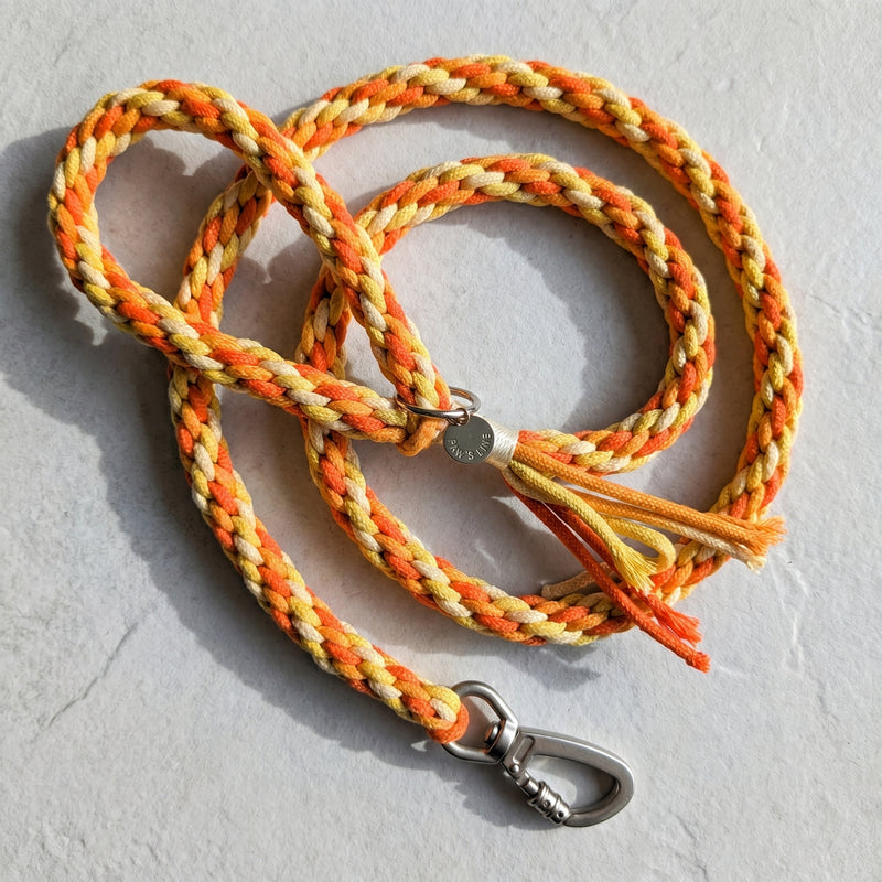 The Citrus Bloom colorway of the braided cotton rope dog leash arranged in a neat coil with a silver hardware clip. color:Citrus Bloom