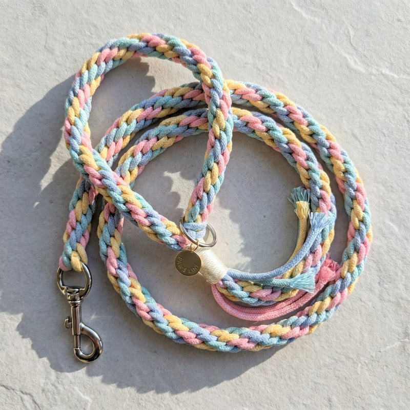 The hand-woven cotton rope dog leash in Cotton Candy Swirl by Paw's Line, coiled neatly on a textured slate studio background. color:Cotton Candy Swirl