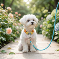 The Pearl & Blossom Dog Leash - Summer Sun