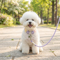 Fluffy white dog wearing a pastel flower macrame collar and matching leash set while sitting on a stone path during a park walk.