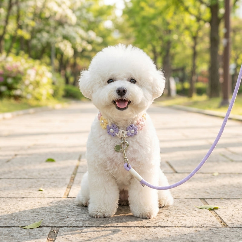 Fluffy white dog wearing a pastel flower macrame collar and matching leash set while sitting on a stone path during a park walk.
