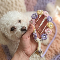 A close-up of a person holding a pastel flower macrame dog collar with pearl centers from Paw's Line next to a fluffy white dog.