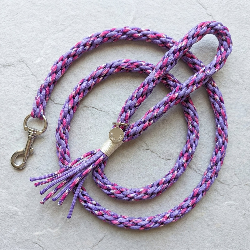 The Traverse Braided Paracord Leash in Wild Berry, showcasing its durable diamond-braid pattern and premium snap hook. color:Wild Berry