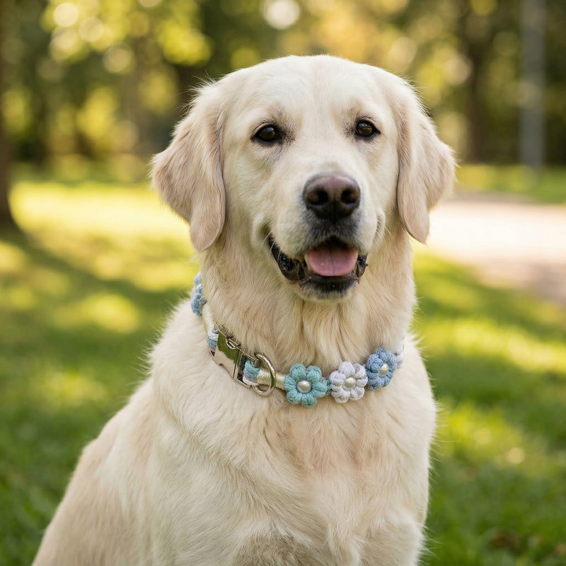 Hand-Braided Collars